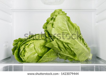Open fridge with fresh vegetables, healthy food background, organic nutrition, health care, dieting concept