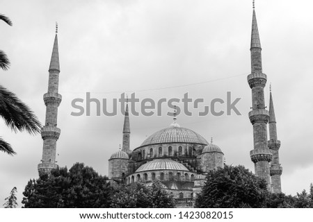 The Blue Mosque, (Sultanahmet Camii), Istanbul, Turkey. Monochromatic picture.