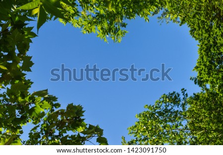 Heart shape through the green leaves against the blue sky. Romantic or eco love symbol concept idea for abstract background with free artwork copy space. Heart-shaped green trees for Valentines day