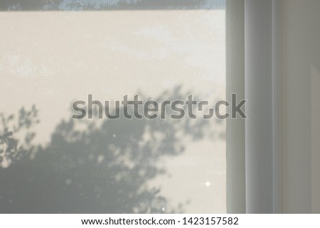 Abstract shadow background of leaves and branch tree from window curtain texture at morning. Royalty-Free Stock Photo #1423157582
