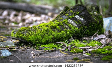 old sneakers moss-grown among the abandoned buildings
