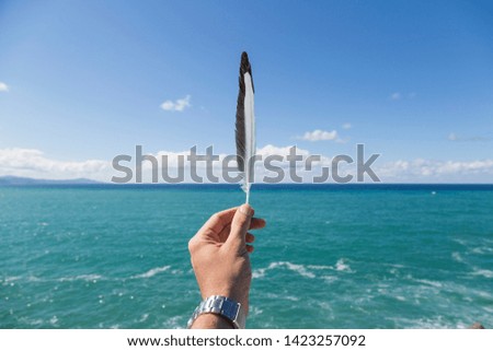 Hand of young boy with seagull feather in Spain.