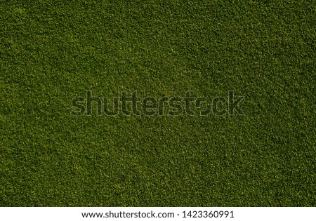 golf course, background of green grass, minimalism concept