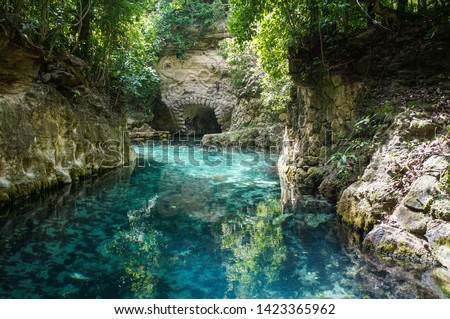 Paradise river in Cancun, Quintana Roo, Mexico                               Royalty-Free Stock Photo #1423365962