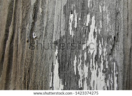 Close-up picture of a very old wooden pole