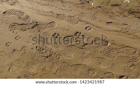 footprints on the sandy beach in the daytime