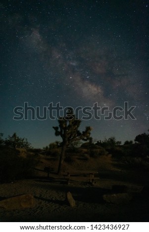Milky Way shots from Joshua Tree National Park in June