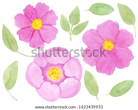 Watercolor hand drawn set with abstract pink flowers and green leaves isolated on white background. Good for wedding invitations, greeting cards, blogs, kids posters.