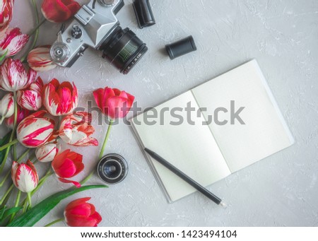 vintage retro camera and pink tulip flowers with blank notebook on gray background. Feminine flat lay. top view. Spring adeventerous mock up.