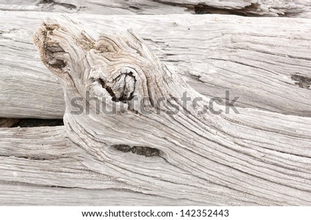 Detail of weathered driftwood found on the Chilean coast in Patagonia