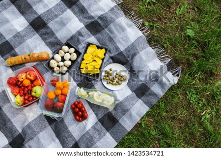Outdoor summer picnic with many fruits 