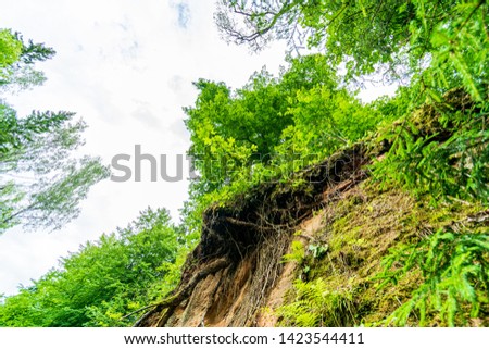old stone brick wall in green forest in summer heat. abandoned fortress