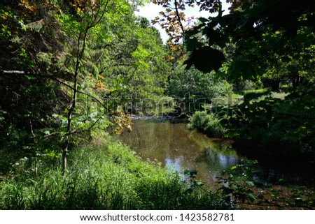 Scottish Country Park at the start of summer as the trees are a lush green colour and a gentle flowing burn or river with reflections in Scotland.