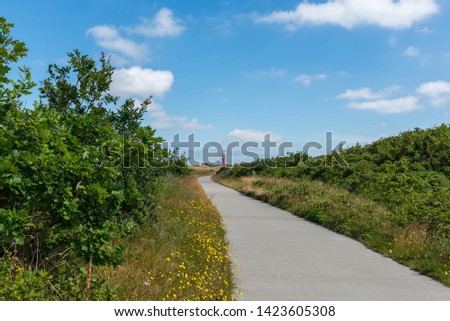  Bike path towards the lighthouse of Texel in the Netherlands