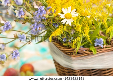 summer picnic with wildflowers in a basket peaches fruits in a clearing background