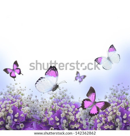 Flowers in a bouquet, blue hydrangeas and butterfly