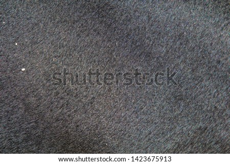 The texture of the skin and wool of a pig, horse, cow, sheep.
Background for design.