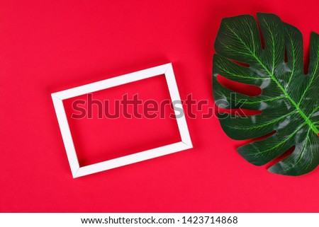 summer ideas concept with tropical leaf white and black frame border with on red burgundy paper background. Top view. free copy space. Flat lay, mock up.