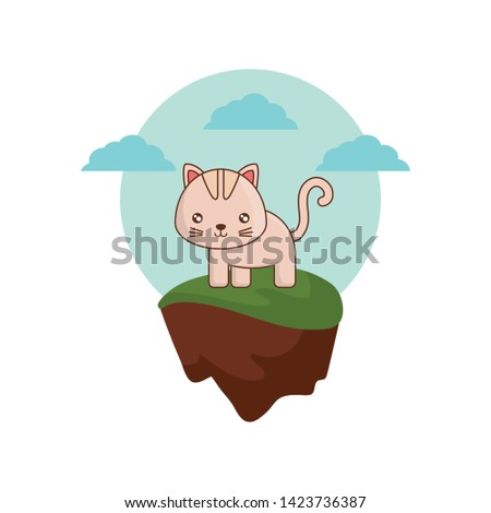 cute cat animal in landscape natural