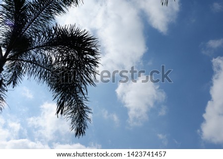 green leaves with blue sky background