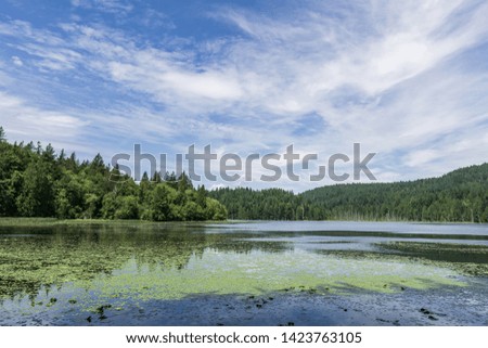 landscape view killarney lake bowen island canada and blue sky.