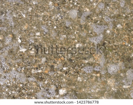 Beach and sand wet water and foaming bubbles with seaweed background abstract imagery
