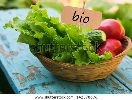 Fresh salad lettuce, tomato, cucumber in bucket. Tag with word bio.  Selective focus. Natural/bio/organic/eco products. Royalty-Free Stock Photo #142378696