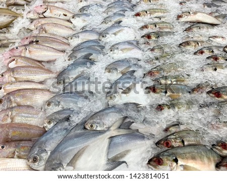 Fish on ice in market for cooking
