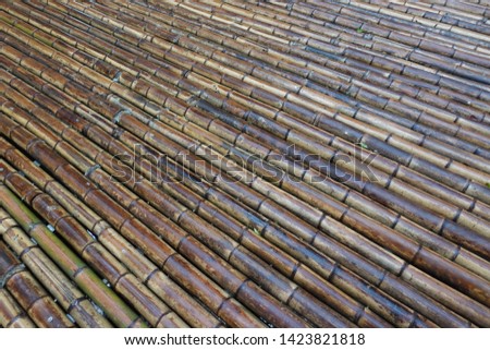 natural background bamboo curved 
straight 
