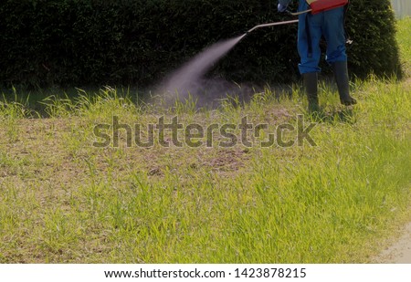 Farmer sprays glyphosate herbicide against couch grass using a knapsack sprayer  Royalty-Free Stock Photo #1423878215