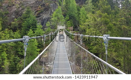 metallic suspension bridge with forest