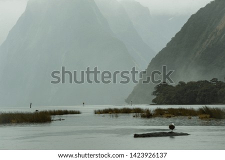 Magnificent scene of amazing misty mountain glacier landscape its reflection at Milford Sound, South Island New Zealand on the rainy morning day.
