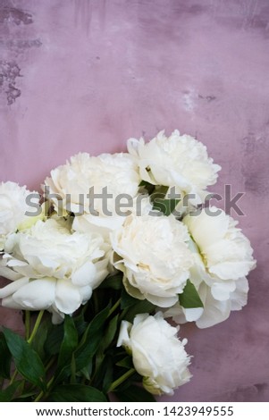 a bouquet of white peonies on the pink concrete background