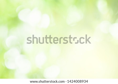 Green Background The appearance of soft leaves And with light shining through nature. suitable as a wallpaper Background presenter. pictures computer screen