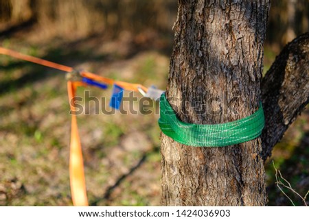 strope for wire walking stretched between trees in garden