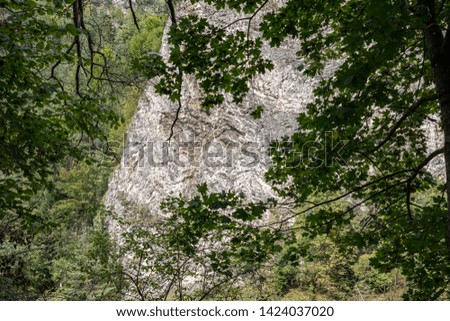 rocks in green forest in summer day, large stones
