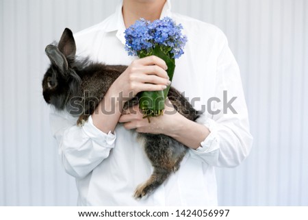 Funny bunny in the hands of a girl on a white background with flowers