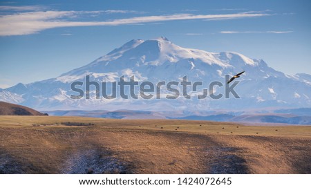 Mount Elbrus, the highest mountain in Europe, located in Caucasus mountains in Russia, with a flying eagle in front of it