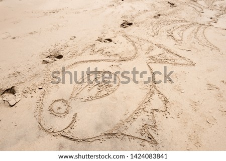 Draw fish lines on natural sand.