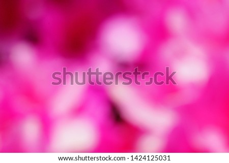 Blurred pink flower on garden at Japan