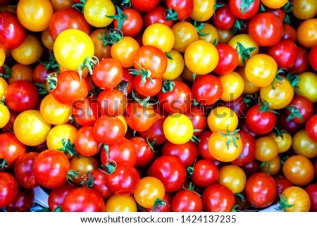 Red and yellow grape tomatoes as summer background Royalty-Free Stock Photo #1424137235