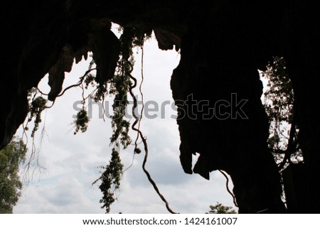 exit from a dark cave with rocky stone walls overgrown with vines