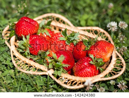 strawberry in a basket