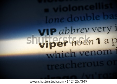 viper word in a dictionary. viper concept, definition.