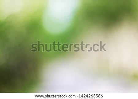 Green background, blurred bokeh, natural light and sunlight