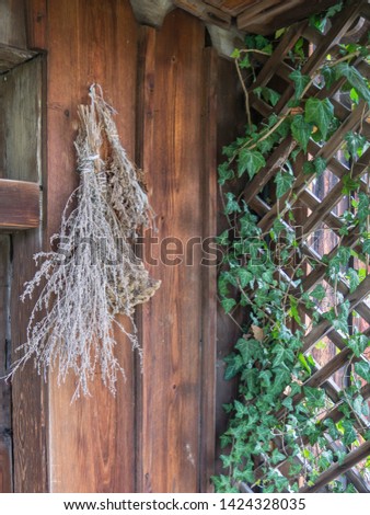 Dried herbs hung in front of the house