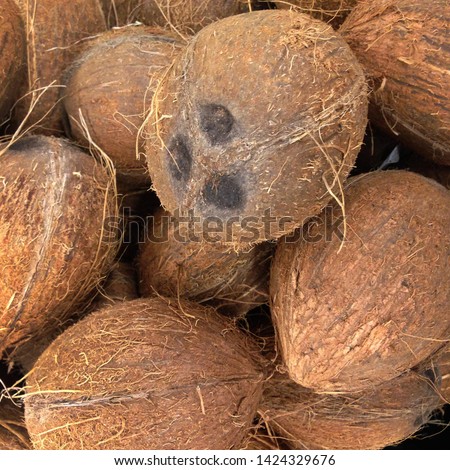 Macro Photo food fruit coconut. Texture tropical fruit coconut nut. Image fruit coconuts