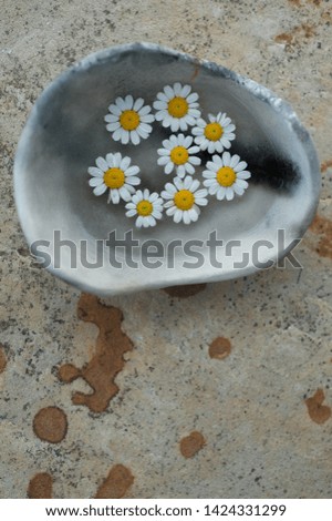 Yellow Daisy flowers floating in a pretty abstract vessel of water with stone and seashell details. 