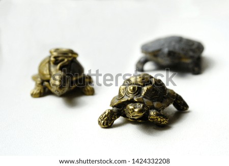 Three bronze turtles on a white background
