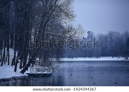 winter park, cityscape in winter weather / landscape snow, city, trees in a city park in the north